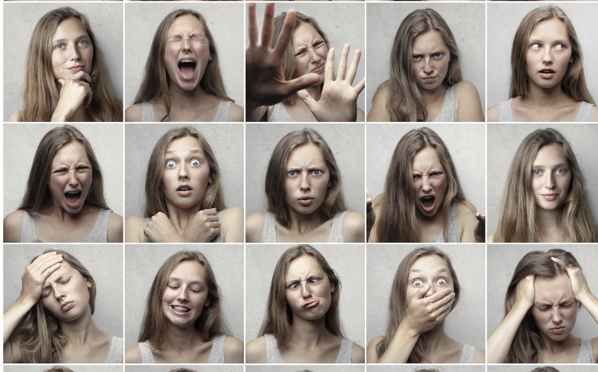 Wheel of Needs and Wheel of Emotions, How to Use it?