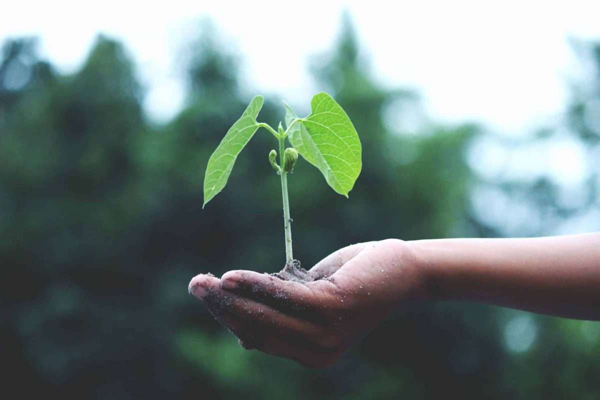 Growth Mindset: How to Develop a Growth Mindset 1 growth mindset